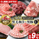 【ふるさと納税】<定期便・全6回(偶数月)>6人家族用!鹿児島県産 黒毛和牛・黒豚 定期便 C (総量約9kg) 国産 黒豚 しゃぶしゃぶ 肩 ロース スライス 訳あり 切り落とし 黒毛和牛 サーロイン ステーキ 黒豚 バラ カタ ウデ 小分け セット 【スターゼン】akn042-39