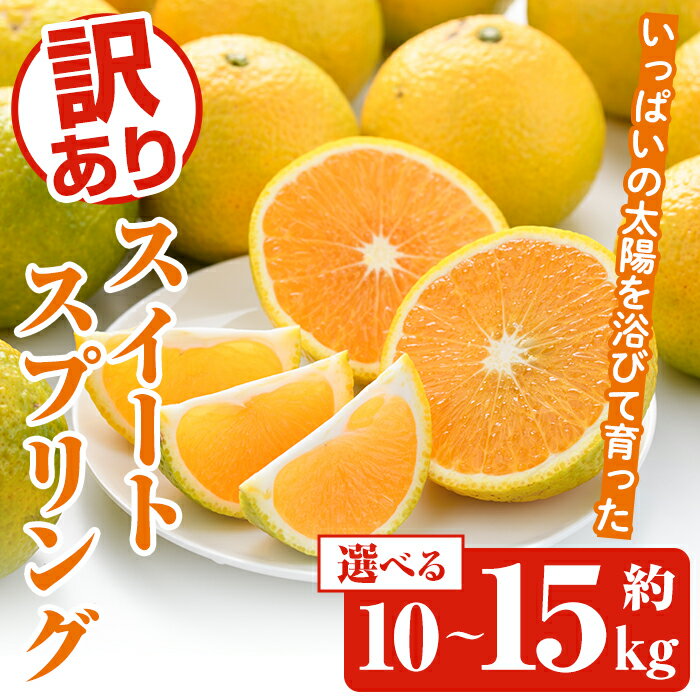 【ふるさと納税】<先行予約受付中!2025年12月中旬以降順次発送予定><内容量が選べる!>訳ありスイートスプリング(約10〜15kg) 鹿児島県 阿久根市 フ...