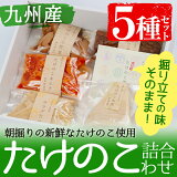 たけのこ詰合わせAセット【上野食品】1-11