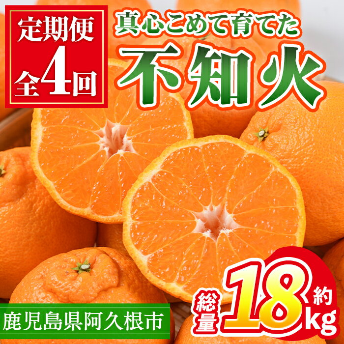 【ふるさと納税】＜定期便・全4回(12月・1月・2月・3月)＞鹿児島県産不知火ざんまい(総量約18kg) 国産 果物 フルーツ 柑橘 旬 しらぬい..