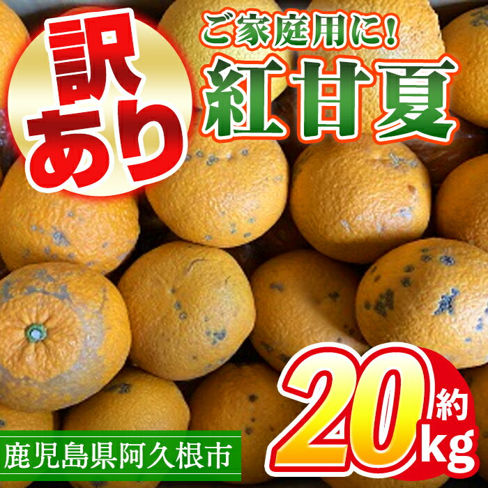 3位! 口コミ数「9件」評価「4.78」＜先行予約受付中！2025年3月中旬以降順次発送予定＞訳あり！鹿児島県産まかない紅甘夏(約20kg)国産 鹿児島産 柑橘 訳アリ 果物 フル･･･ 