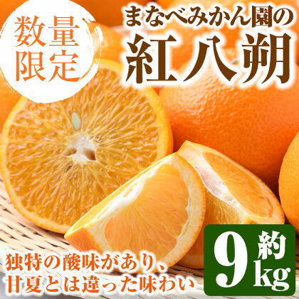 ＜先行予約受付中！2025年2月上旬以降発送予定＞まなべみかん園の紅八朔(約9kg)国産 柑橘類 みかん ミカン 蜜柑 果物 フルーツ【有限会社まなべみかん園】a-14-11