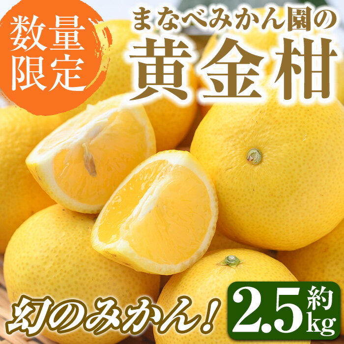 10位! 口コミ数「1件」評価「5」＜先行予約受付中！2025年2月上旬以降発送予定＞数量限定！まなべみかん園の黄金柑(約2.5kg)国産 柑橘類 果物 フルーツ みかん ミカ･･･ 