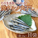 【ふるさと納税】焼ウルメ丸干し10袋セット(20g×10袋)海産物 いわし 鰯 ウルメイワシ おつまみ おかず【下園薩男商店】19-36