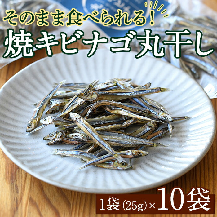 焼キビナゴ丸干し10袋セット(25g×10袋)海産物 きびなご おつまみ おかず[下園薩男商店]a-16-39