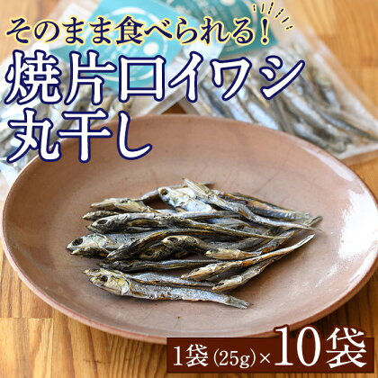 焼片口イワシ丸干し10袋セット(25g×10袋)海産物 いわし 鰯 おつまみ おかず【下園薩男商店】a-16-40