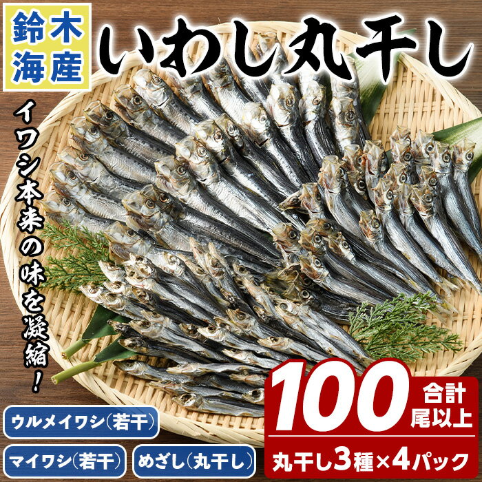 数量限定！イワシ丸干し3点セット(合計100尾以上) 国産 鹿児島県産 阿久根市産 魚 魚介 水産 いわし 鰯 ウルメイワシ うるめいわし めざし マイワシ まいわし 食べ比べ セット 詰め合わせ【鈴木海産】a-14-22