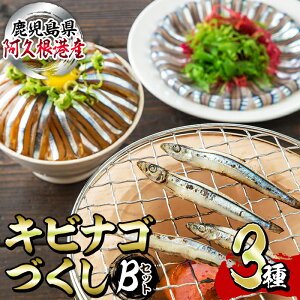 【ふるさと納税】鹿児島県産！あくねキビナゴづくしBセット(3種)一夜干し、刺身、漁師漬けをセットに冷...