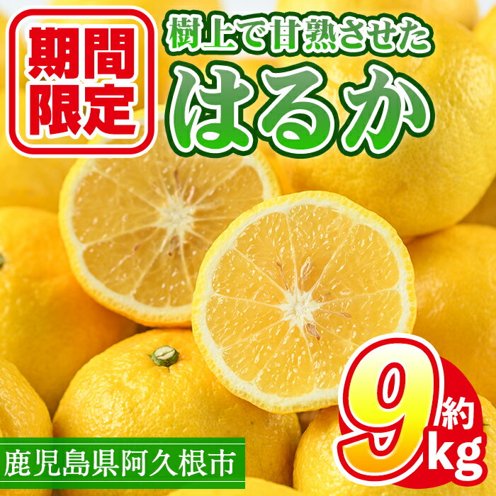 10位! 口コミ数「2件」評価「4.5」＜先行予約受付中！2025年2月上旬以降順次発送予定！＞数量限定！鹿児島県産はるか(約9kg)国産 柑橘 果物 くだもの フルーツ 旬【三笠･･･ 