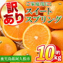 【ふるさと納税】<先行予約受付中!2025年12月中旬以降順次発送予定>訳あり!鹿児島県産スイートスプリング(計約10kg・37~43個程) 柑橘 果物 フルーツ 旬 デザート 国産 鹿児島県産 阿久根市産 小玉 数量限定 期間限定 訳アリ ノーワックス【三笠農業生産】a-14-66-z