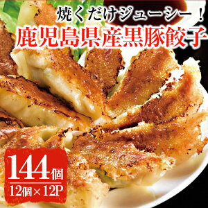 【ふるさと納税】鹿児島黒豚餃子計144個(12個入り×12パック)鹿児島県産黒豚肉と国産野菜(キャベツ・玉ねぎ・にら)を使用した生餃子!【鹿児島いずみ農業協同組合】2-142