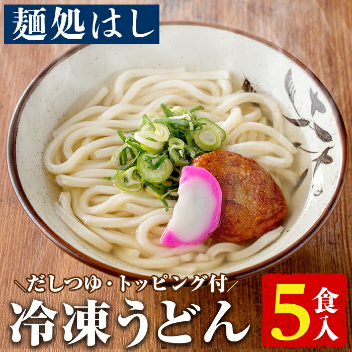 【ふるさと納税】冷凍うどん(5食入・だしつゆ、さつまあげ、か