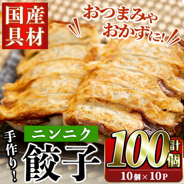 国産豚肉使用!手作りニンニク餃子(計100個・10個×10パック)国産 ギョウザ ぎょうざ お肉 にんにく おかず 惣菜 おつまみ[スーパーよしだ]a-12-113