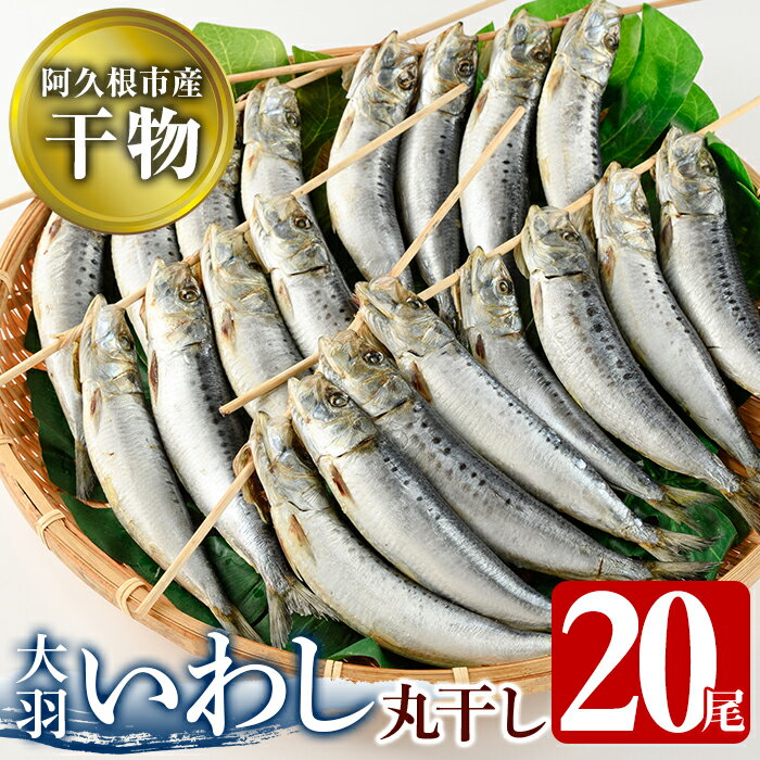 鹿児島県阿久根市産干物!大羽いわし丸干し(20尾)国産 鹿児島県産 魚介 魚貝 海産物 水産加工物 惣菜 簡単調理 セット 小分け[川本商店]a-12-132