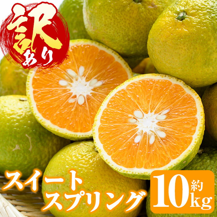 4位! 口コミ数「1件」評価「5」＜先行予約受付中！2024年12月下旬以降発送予定＞＜訳あり・自家用＞スイートスプリング(約10kg)国産 柑橘 みかん 果物 フルーツ【有･･･ 