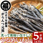 【ふるさと納税】鹿児島県阿久根市産生干し「うるめいわし」(計5袋・1袋30g)国産 魚介 干物 ひもの イワシ 鰯 がらんつ干物【マルフク川畑水産】a-12-151