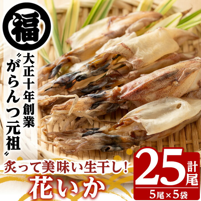 11位! 口コミ数「1件」評価「5」鹿児島県阿久根市産生干し「花いか」(計25尾・5尾×5袋)国産 魚介 干物 ひもの イカ 烏賊 がらんつ干物【マルフク川畑水産】a-12-1･･･ 