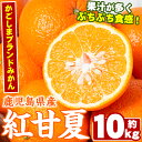 【ふるさと納税】<先行予約受付中!2026年2月以降順次発送予定>数量限定!鹿児島県産紅甘夏みかん(約10kg・28玉~32玉)国産 果物 フルーツ【鹿児島いずみ農業協同組合】akn018-05