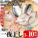 【ふるさと納税】数量限定!阿久根市産の旬の一夜干しグルメ<A>セット(鯛・アジ・イカ・サバなど)国産 鮮魚 詰め合わせ お楽しみ 海の幸 魚介類 干物 海鮮【さ...