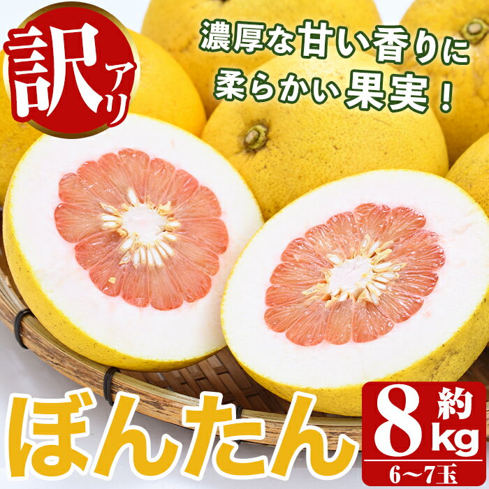 【ふるさと納税】＜訳あり＞数量限定！阿久根産ぼんたん(計8kg・6～7玉）国産 ボンタン 柑橘 果物【あくね旬の店いきいき館】 2-281のサムネイル