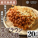 9位! 口コミ数「0件」評価「0」生ブラウンえのき茸(20袋・計3.6kg)国産 エノキ きのこ 茸 キノコ 個包装【三笠えのき茸生産組合】a-12-220