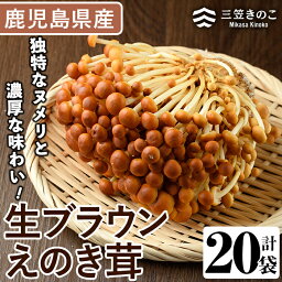 【ふるさと納税】生ブラウンえのき茸(20袋・計3.6kg)国産 エノキ きのこ 茸 キノコ 個包装【三笠えのき茸生産組合】a-12-220