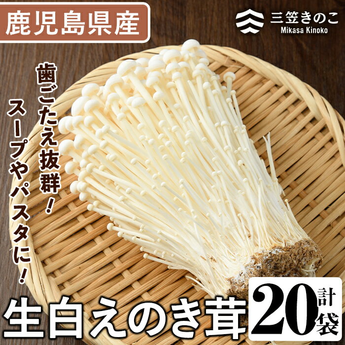 14位! 口コミ数「0件」評価「0」生白えのき茸(20袋・計5kg)国産 エノキ きのこ キノコ 個包装【三笠えのき茸生産組合】a-12-221