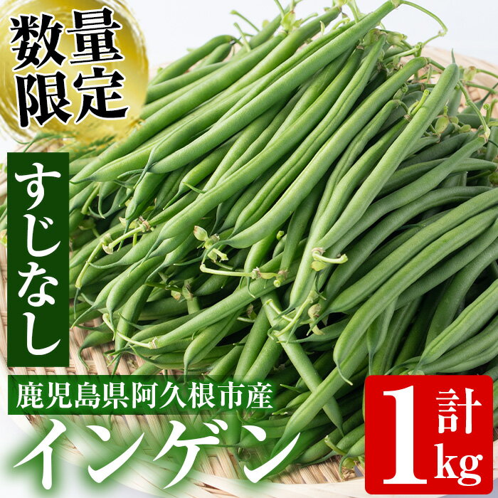 製品仕様 商品名 すじなしインゲン 内容量 すじなしインゲン：1kg 賞味期限 5日間 配送方法 冷蔵 保存方法 冷蔵 製造者 東新グリーンファーム合同会社 商品説明 南国鹿児島県阿久根市の海沿いの生産者が、味・形にこだわり丁寧に育てられたすじなしインゲン1kg入り商品です。 インゲンは、栽培期間が短いので、春と秋の2回収穫できます。 今が旬のインゲンは、曲がりが少なくキレイな薄緑色で、シャキシャキとした触感が特徴です。 レシピとして、和え物や卵とじ、肉じゃがや肉詰めなどいろいろなレシピがありますので、旬のインゲンをお召し上がりください。 育成状況により、出荷時期が多少前後することがあります。 注意事項 生ものですので、商品到着後は、お早めにお召し上がり下さい。寄附金の用途について 「ふるさと納税」寄附金は、下記の事業を推進する資金として活用してまいります。 寄附を希望される皆さまの想いでお選びください。 (1) 市におまかせ (2) 観光の振興、施設充実のための事業 (3) 地域産業の振興及びその他地域の活性化のための事業 (4) 自然環境及び地域景観の保全のための事業 (5) 健康・福祉の充実のための事業 (6) 教育環境の充実及び子育て支援のための事業 特にご希望がなければ、市政全般に活用いたします。 受領証明書及びワンストップ特例申請書のお届けについて 入金確認後、注文内容確認画面の【注文者情報】に記載の住所にお送りいたします。 発送の時期は、寄附確認後1ヶ月以内を目途に、お礼の特産品とは別にお送りいたします。 ワンストップ特例制度は、より簡単に税金控除の申請が行える、大変便利な制度です。 適用条件やご利用方法のご案内はこちら からご確認ください。