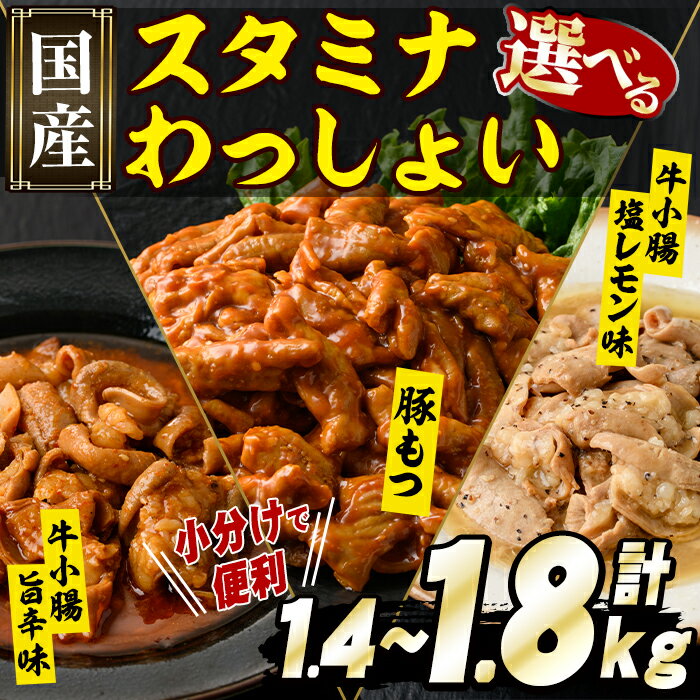 [選べる3種]スタミナわっしょい(豚もつ 計1.4kg・140g×10P/牛小腸旨辛味 計1.8kg・180g×10P/牛小腸塩レモン味 計1.8kg・180g×10P)国産 肉 お肉 豚肉 牛肉 小腸 大腸 味付き 味付 味噌 おかず 味付け肉 [スターゼン]