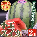 7位! 口コミ数「0件」評価「0」鹿児島県産 小玉スイカ(2玉) 国産 果物 スイカ すいか 西瓜 フルーツ スイーツ スムージー ジュース 期間限定【松永青果】a-12-2･･･ 