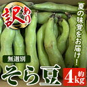 【ふるさと納税】＜訳あり＞鹿児島県産 そら豆(約4kg) 国産 野菜 そら豆 ソラマメ おつまみ サラダ 炒め物 訳アリ サイズ混合 ソラ豆 鞘つき さやつき【松永青果】a-12-287