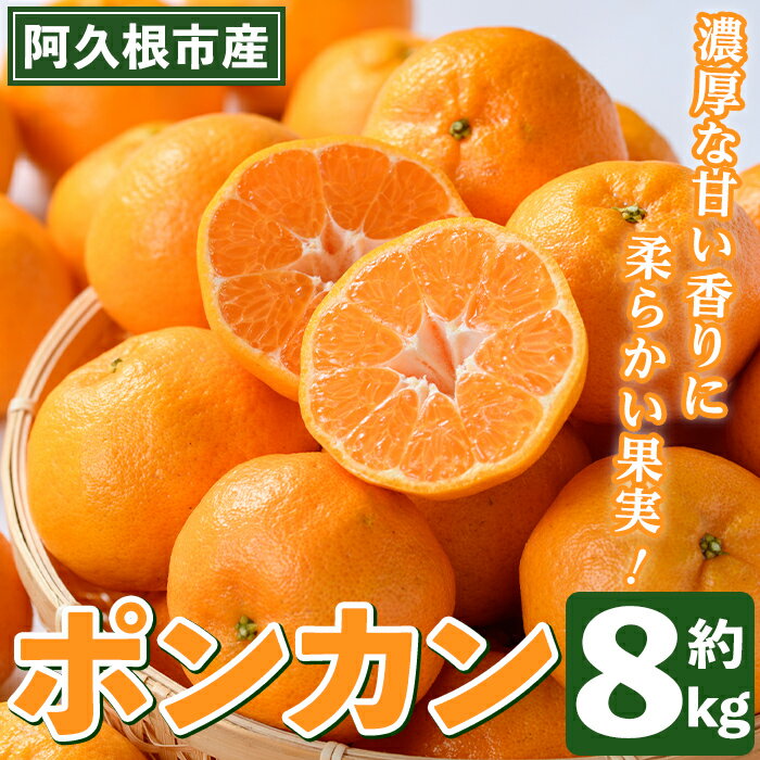 26位! 口コミ数「0件」評価「0」＜先行予約受付中！2024年12月以降順次発送予定＞数量限定！ポンカン(約8kg）国産 ポンカン 柑橘 果物 フルーツ デザート 果実【あく･･･ 