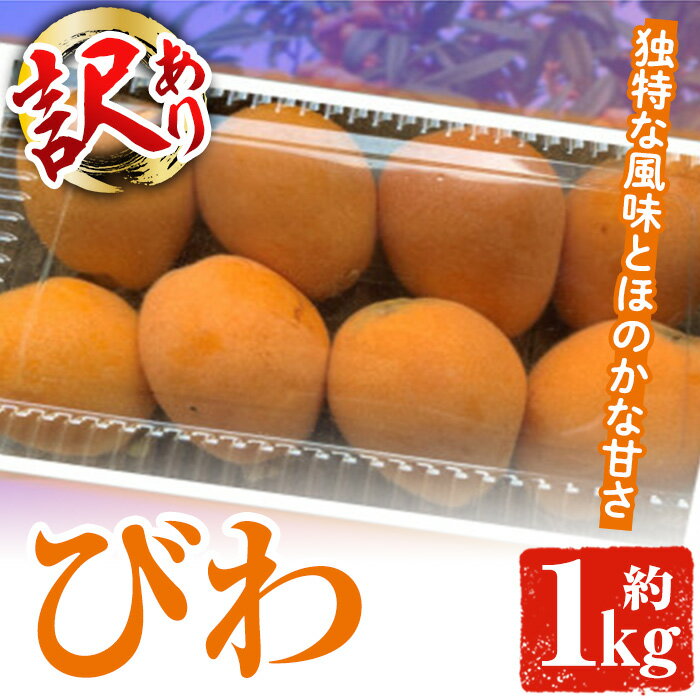 【ふるさと納税】＜訳あり・数量限定＞びわ(約1kg) 阿久根市 フルーツ 果物 デザート 甘味 酸味 果肉 ...