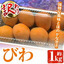 【ふるさと納税】＜訳あり・数量限定＞びわ(約1kg) 阿久根市 フルーツ 果物 デザート 甘味 酸味 果肉 果汁【松永青果】a-12-296