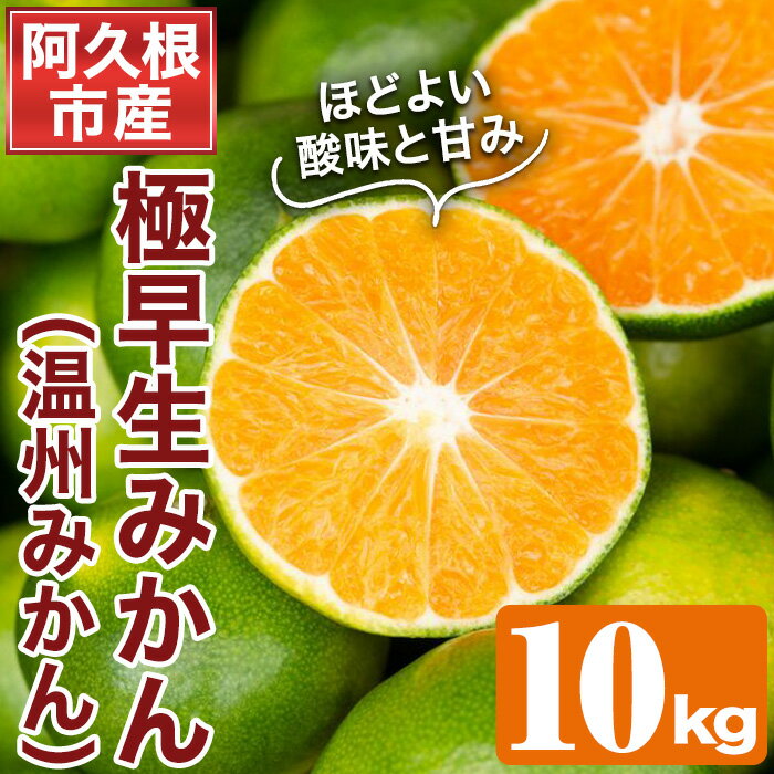 [先行予約受付中!2024年9月下旬以降順次発送予定]鹿児島県阿久根産の極早生みかん(10kg)国産 ミカン 蜜柑 オレンジ 柑橘 果物 フルーツ[あくね旬の店いきいき館]a-12-26