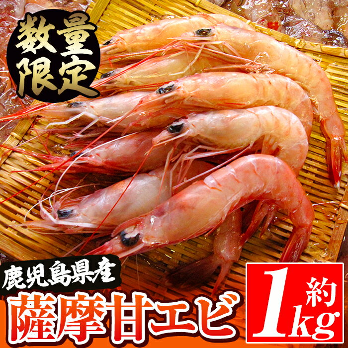 【ふるさと納税】数量限定！鹿児島県阿久根産 薩摩甘エビ(約1kg・42〜50尾) 国産 阿久根市産 えび 海...