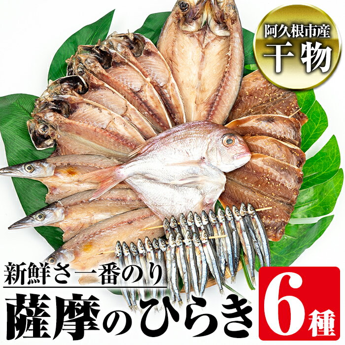 鹿児島県阿久根市産干物!新鮮さ一番のり薩摩のひらきセット(6種) 国産 九州産 魚介類 ひもの 乾物 アジ 鯵 タイ 鯛 サバ 鯖 きびなご かます 味付 おかず お弁当 詰合せ 詰め合わせ[川本商店]a-14-26