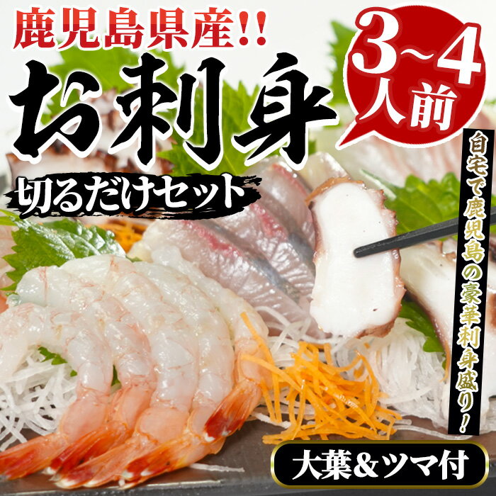 鹿児島県産！お刺身切るだけセット(3人〜4人前)国産 刺し身盛 魚貝 魚介 海産物 刺身 蛸 たこ 海老 エビ かんぱち タイ 簡単調理 おつまみ セット 小分け 個包装【さるがく水産】a-12-58