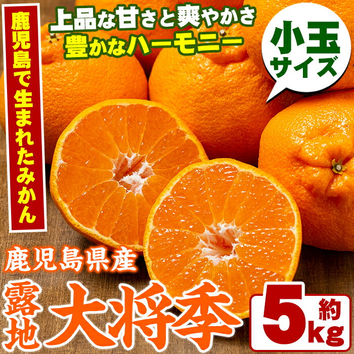 【ふるさと納税】＜先行予約受付中！2024年3月以降発送予定＞鹿児島生まれの品種！露地栽培の大将季＜小玉＞(計5kg・小玉24〜30玉)果物 冬 春 柑橘 みかん 蜜柑 フルーツ 期間限定 数量限定【鹿児島いずみ農業協同組合】a-16-15のサムネイル