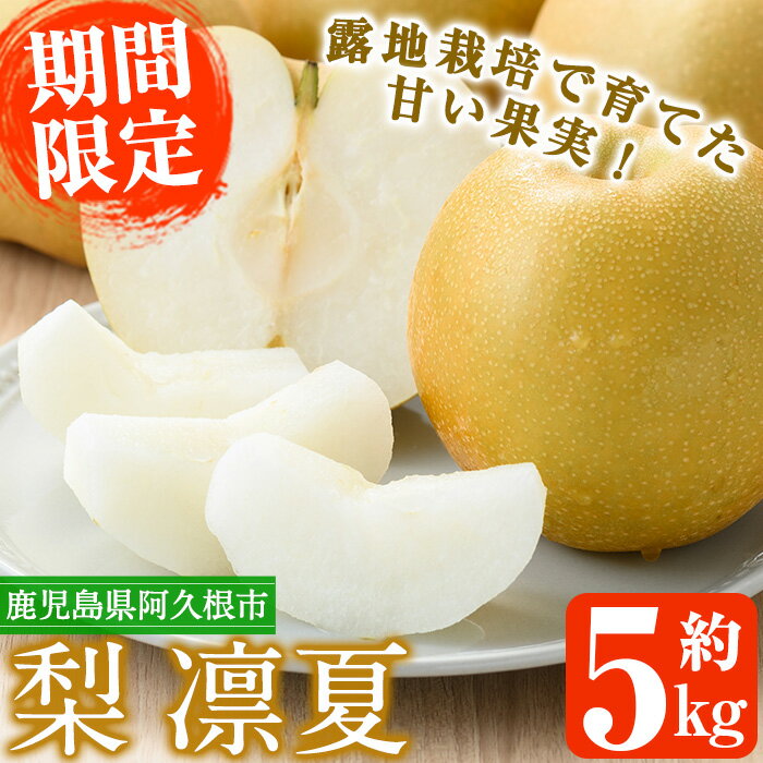 【ふるさと納税】数量限定！鹿児島県産梨＜品種：凛夏＞(約5kg・10〜15個)国産 果物 くだもの フルーツ 旬 果実 ナシ なし デザート 露地栽培 りんか 凛夏 期間限定【三笠農業生産】a-18-16