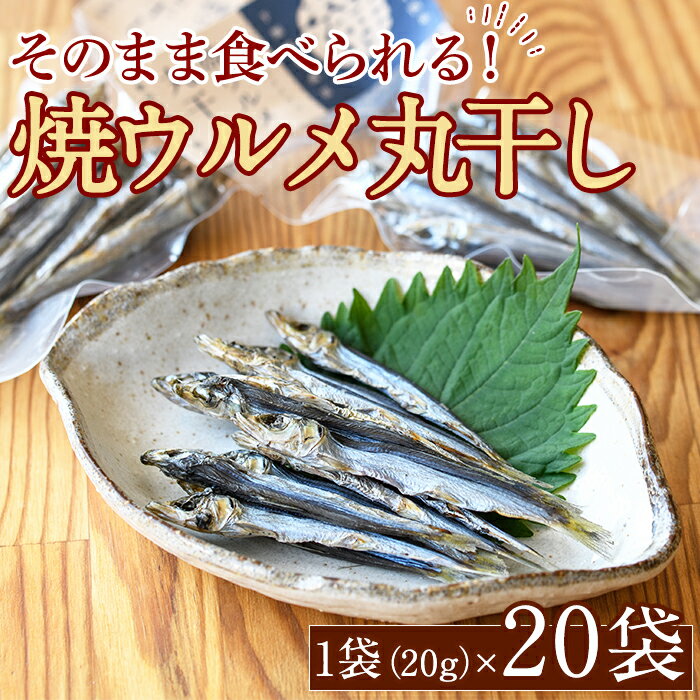 【ふるさと納税】焼ウルメ丸干し20袋セット(20g×20袋)海産物 いわし 鰯 ウルメイワシ おつまみ おかず【下園薩男商店】a-31-5