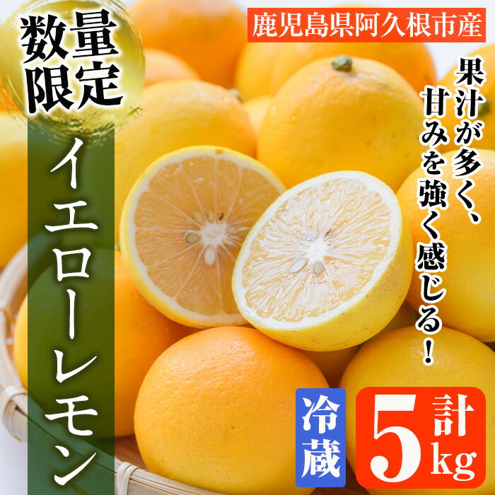 【ふるさと納税】＜2024年4月上旬以降発送予定＞数量限定！冷蔵品イエローレモン(5kg)国産 マイヤーレモン 檸檬 オレンジ 果実 果物 フルーツ 柑橘 デザート 期間限定【桐野柑橘株式会社】a-20-9