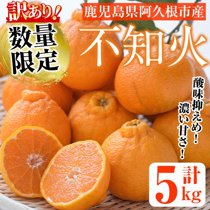 9位! 口コミ数「3件」評価「4.67」＜先行予約受付中！2025年1月中旬以降順次発送予定＞＜訳あり・不揃いの為＞数量限定！無加温ハウス不知火(5kg) 国産 果物 フルーツ 柑･･･ 