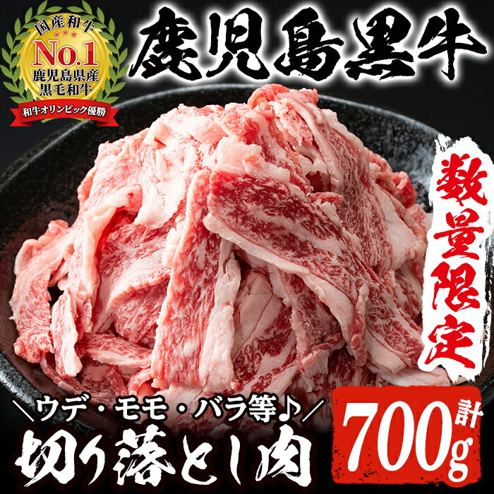 数量限定！鹿児島黒牛切り落とし(計約700g・350g×2パック)国産 九州産 鹿児島産 国産牛 切落し すき焼き 肉じゃが ウデ肉 モモ肉 バラ肉 牛モモ 牛バラ セット 詰め合わせ 詰合せ 【鹿児島いずみ農業協同組合】a-16-5