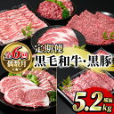 肉セット 【ふるさと納税】＜定期便・全6回(偶数月)＞鹿児島県産黒毛和牛・黒豚定期便(総量約5.2kg)国産 九州産 鹿児島産 牛肉 国産牛 豚肉 サーロイン ステーキ 切り落とし 切落し カルビ 焼肉 焼き肉 焼肉セット 黒豚 バラ肉 すき焼き しゃぶしゃぶ 頒布会【スターゼン】a-120-1