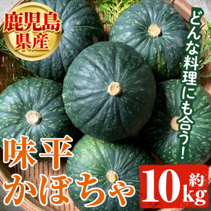 ＜先行予約受付中！2024年5月より順次発送＞鹿児島県産 味平かぼちゃ(約10kg) 国産 野菜 かぼちゃ カボチャ 南瓜 煮物 天ぷら バーベキュー BBQ スイーツ お菓子【松永青果】a-28-9