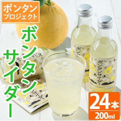 ボンタンサイダー(24本) 一つ一つ手作業で皮を剥き、果汁をしぼり仕上げました！ぼんたん ボンタン 文旦 サイダー ジュース 飲み物 飲料 果汁 フルーツ 果物 炭酸【ボンタンプロジェクト】a-31-1