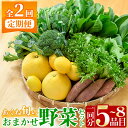 【ふるさと納税】<定期便・全2回(6月・11月)>あくね旬の野菜おまかせセット(5〜8品目)小松菜、レタス、青梗菜の3品目とその他野菜2品目以上を詰め合わせて全2回お届け!【合同会社グッドフィールド】akn056-19