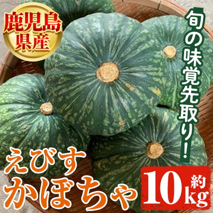 ＜先行予約受付中！2024年5月より順次発送＞鹿児島県産 えびすかぼちゃ(約10kg) 国産 野菜 かぼちゃ カボチャ 南瓜 煮物 天ぷら バーベキュー BBQ スイーツ お菓子【松永青果】a-24-40