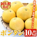 【ふるさと納税】<先行予約受付中!2026年1月以降順次発送予定>阿久根特産 ボンタン(10kg) 国産 果物 ボンタン ぼんたん フルーツ スイーツ 贈答用 ...